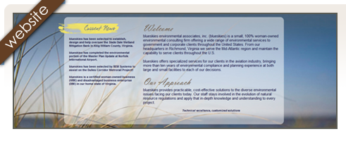 blueskies environmental associates, inc.